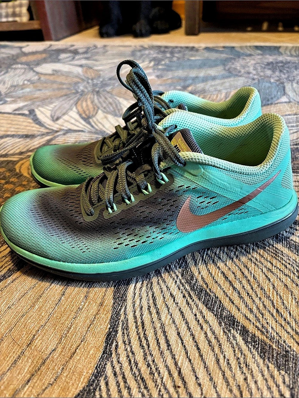 Nike Running Shoes